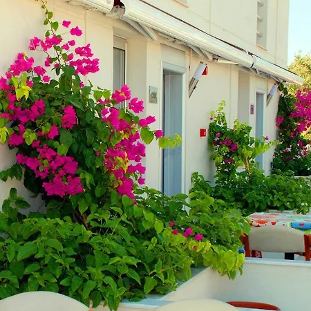 호텔 Vela Garden Çeşme