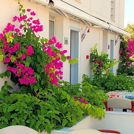 호텔 Vela Garden Çeşme
